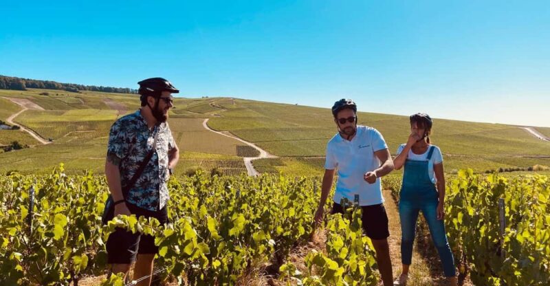 Dijon/Beaune: Full Day Ebike Burgundy Tour, Tastings & Lunch - Key Points
