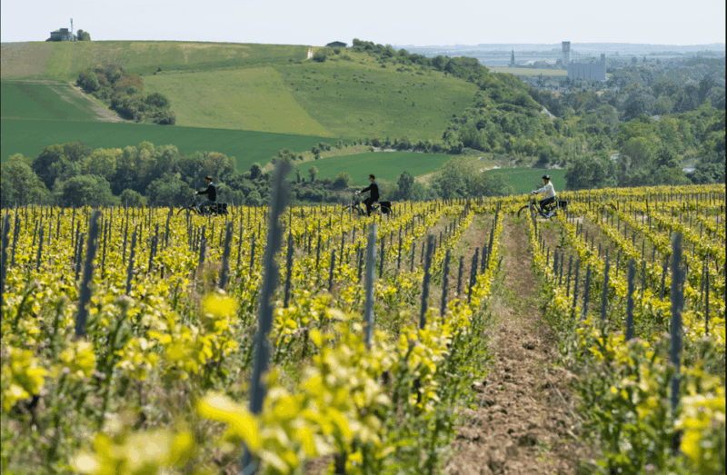 Dijon/Beaune: Full Day Ebike Burgundy Tour, Tastings & Lunch - Winery Visits and Tastings