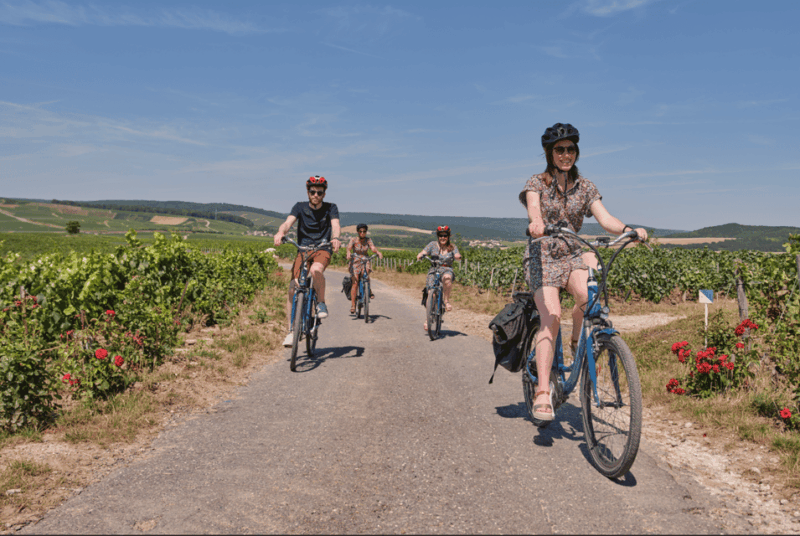 Dijon/Beaune: Full Day Ebike Burgundy Tour, Tastings & Lunch - Ebike Excursions and Stops