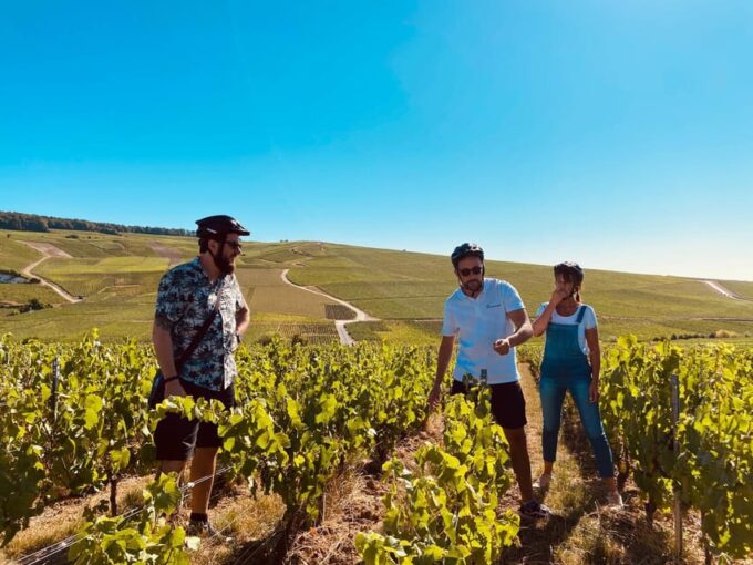 Dijon/Beaune: Full Day Ebike Burgundy Tour, Tastings & Lunch - Frequently Asked Questions