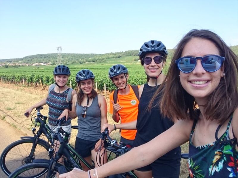 Dijon: Bike Tour and Tastings in the Vineyards of Burgundy - Key Points