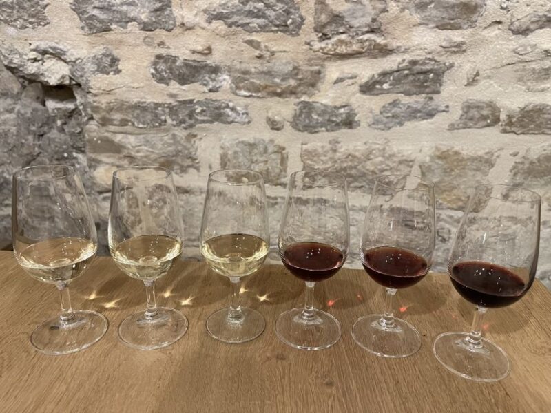 Dijon: Cheese and Burgundy Wine Tasting Workshop - Pairing Techniques
