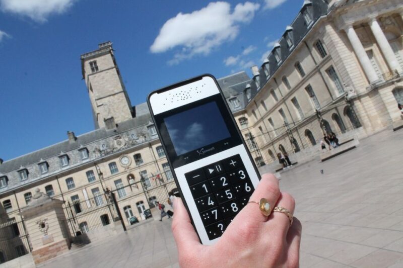 Dijon : City Walking Tour With Audio Guide (Office Tourisme) - Tour Highlights