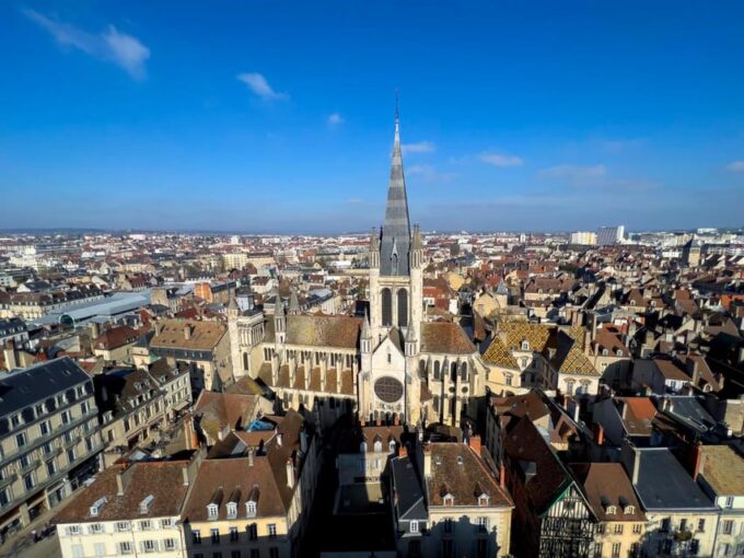 Dijon: Express Walk With a Local in 60 Minutes - Customer Feedback and Ratings