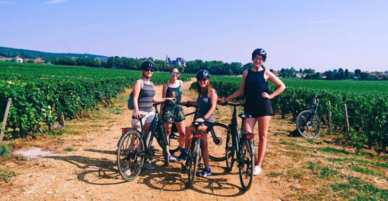 Dijon: Half-Day Guided Gourmet Bike Tour - Exploring Burgundy Vineyards by Bike
