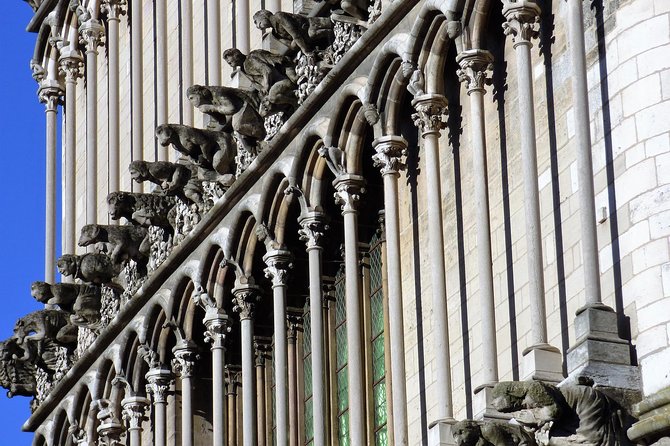 Dijon - Historic Guided Walking Tour - Additional Details