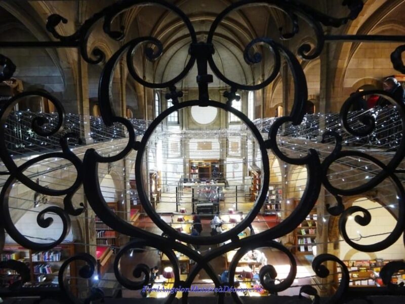 Dijon: Secrets and Lies of the Old Town - Dijons Architectural Secrets Revealed