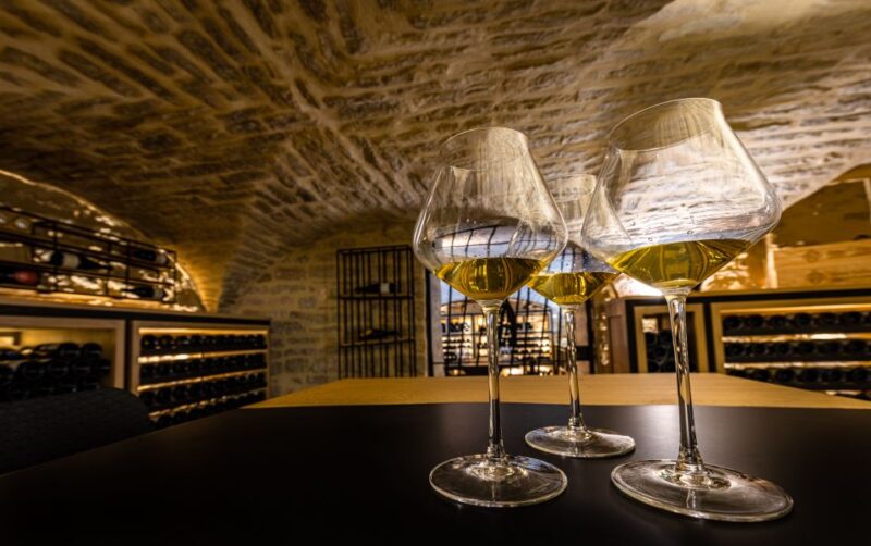 Dijon: The Wine Cellar of the Burgundy Palace Wine Tasting Experience - Key Points