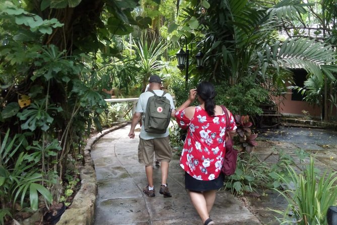 Dilly Dally Walking Tour of Nassau Attractions - Tour Highlights