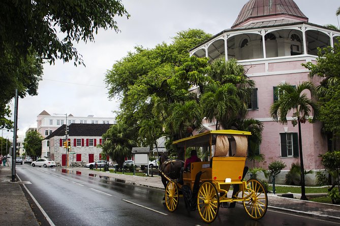 Dilly Dally Walking Tour of Nassau Attractions - Recommendations and Tips