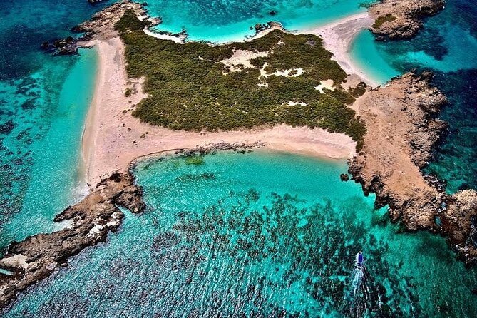 Dimaniyat Island Tour - Suitability for Travelers