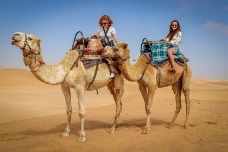 Diner Agafay Desert ,Camel Ride,Magical Show,Sunset - Accessibility and Languages