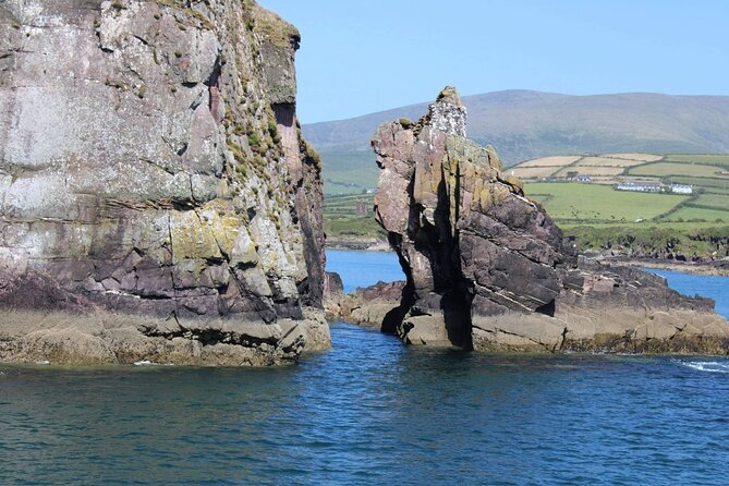Dingle Bay Cliff Tour - Tour Overview