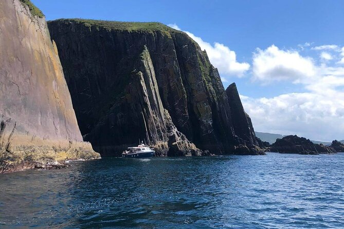 Dingle Bay Cliff Tour - Scenic Boat Tour