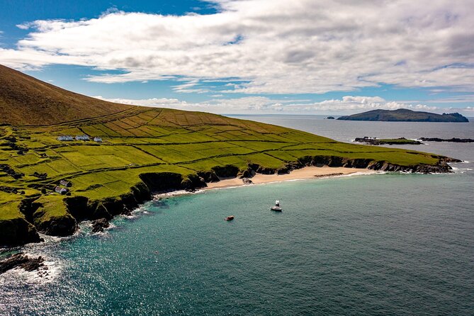 Dingle Dolphin Blasket Adventures - Just The Basics
