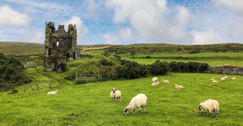 Dingle: Heritage Photo And Sightseeing Tour - Key Points