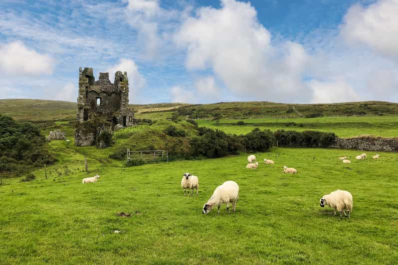Dingle: Heritage Photo And Sightseeing Tour - Booking Information