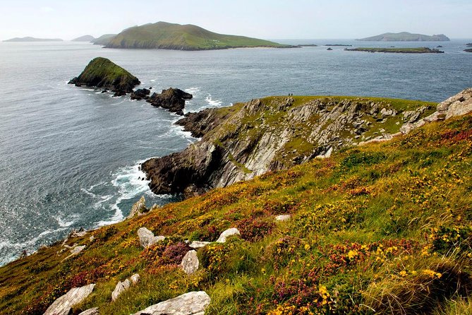 Dingle Peninsula Day Tour From Cork: Including the Wild Altanic Way - Exploring Dingle Town