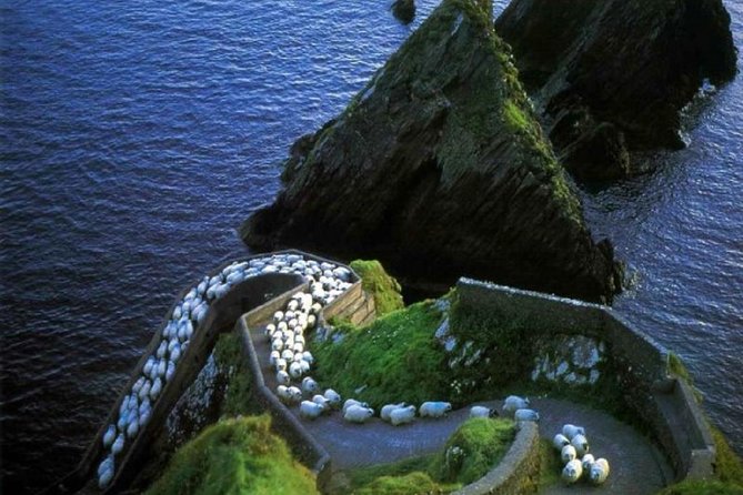 Dingle Peninsula Day Tour From Killarney: Including the Wild Altanic Way - Departure and Meeting Point