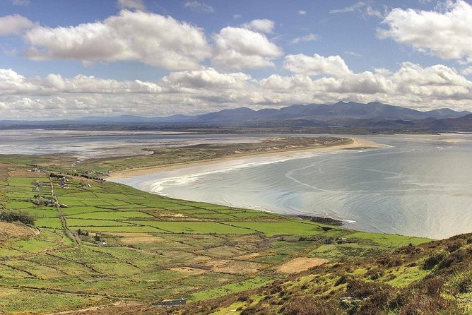 Dingle Peninsula Day Tour From Killarney: Including the Wild Altanic Way - Exploring Dingle Town