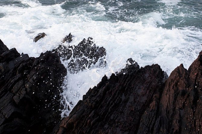 Dingle Peninsula Day Tour From Killarney: Including the Wild Altanic Way - Tour Group Size
