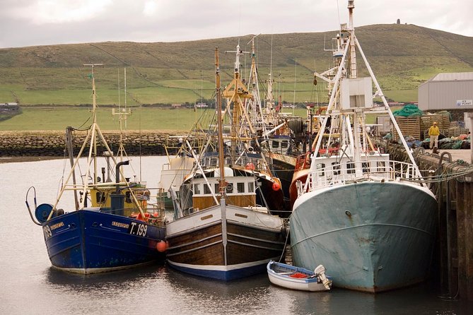 Dingle Peninsula Day Tour From Killarney: Including the Wild Altanic Way - Pricing and Booking