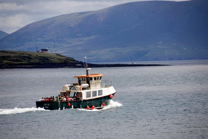 Dingle Peninsula Day Tour From Limerick: Including the Wild Altanic Way - Breathtaking Scenic Highlights