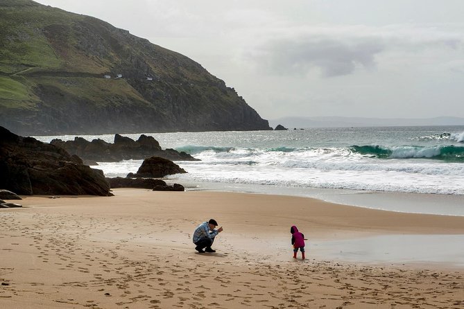 Dingle Peninsula Day Tour From Limerick: Including the Wild Altanic Way - Transportation and Pick-up Locations