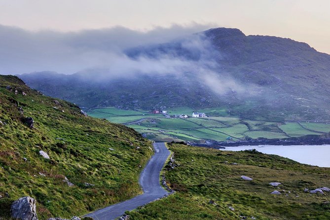 Dingle Peninsula & Slea Head Private Day Tour - Traveler Reviews