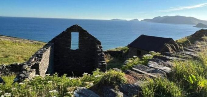 Dingle: Self-Guided Ebike Tour - Local Wildlife Sightings