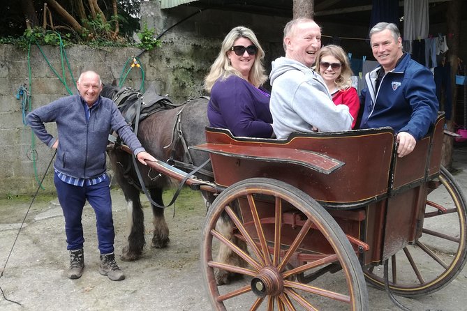 Dingle Town & Peninsula Private Chauffeur Driven Day Tour From Killarney Luxury - Local Insights
