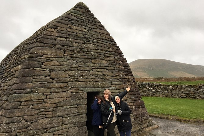 Dingle Town & Peninsula Private Chauffeur Driven Day Tour From Killarney Luxury - Comfortable Ride
