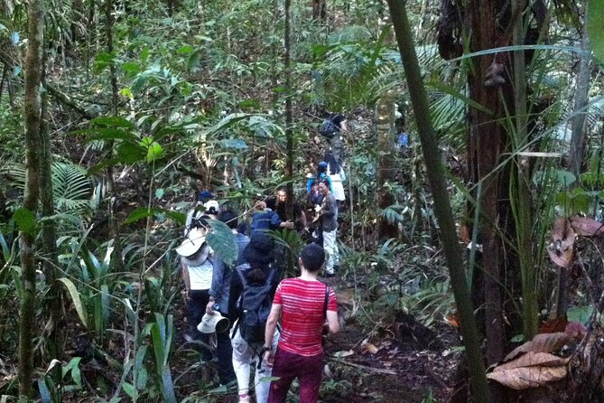 Dinner and Overnight in the Jungle in Manaus - Safety Considerations