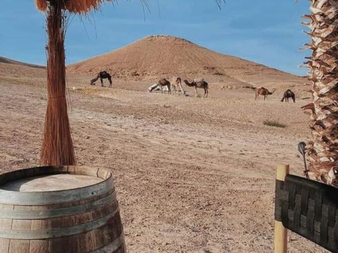 Dinner and Quad Bike in Agafay Desert,Camel Ride - Live Entertainment Program
