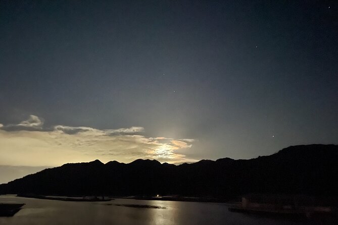 Dinner Cruise on HANAIKADA (Raft-Type Boat) With Scenic View of Miyajima - Dinner Menu and Drink Options