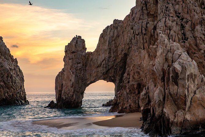 Dinner Cruise Tour in Cabo San Lucas With Tequila Tasting - Dinner Cruise on Catamaran