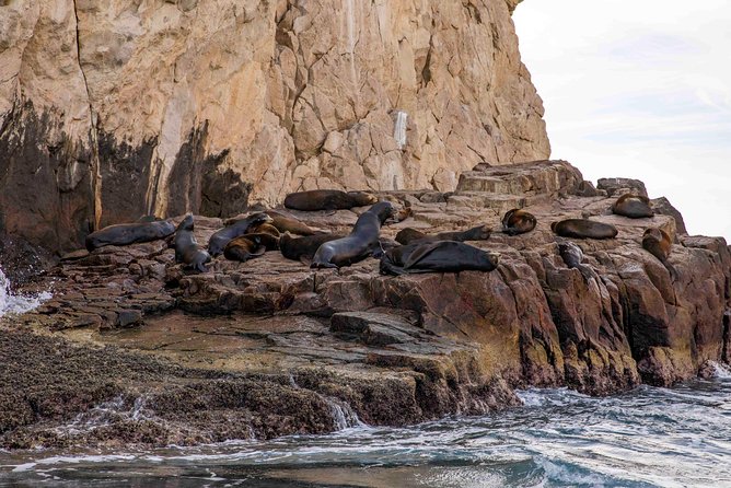 Dinner Cruise Tour in Cabo San Lucas With Tequila Tasting - Highlights of the Experience
