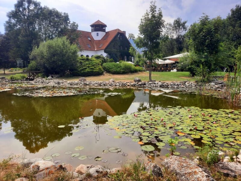 Dinner & Evening Walk in Rimetea (5 H, From Cluj) - Itinerary Details