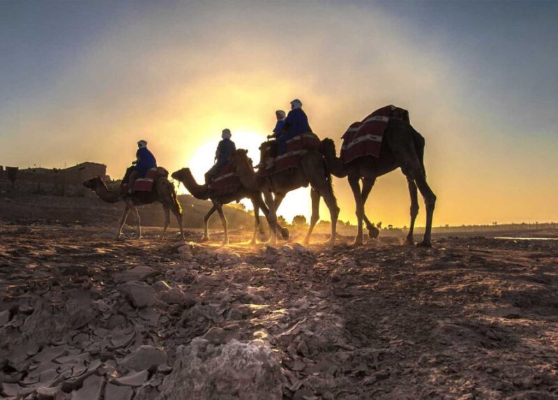 Dinner in Agafay Desert & Camel Ride - Booking Information