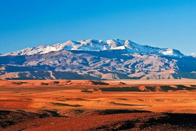 Dinner in Agafay Desert With Camel Ride or Quad Bike - Camel Ride or Quad Bike