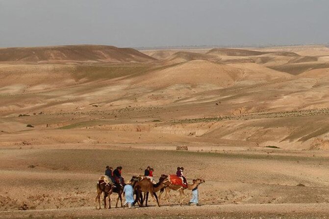 Dinner in Agafay Desert With Camel Ride or Quad Bike - Booking and Cancellation Details