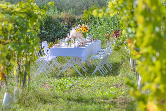 Dinner in the Vineyard French Riviera - Convenient Pickup and Dropoff