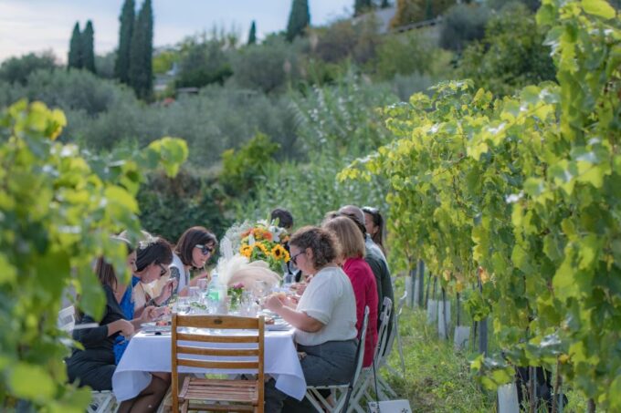 Dinner in the Vineyard, French Riviera - Logistics and Booking