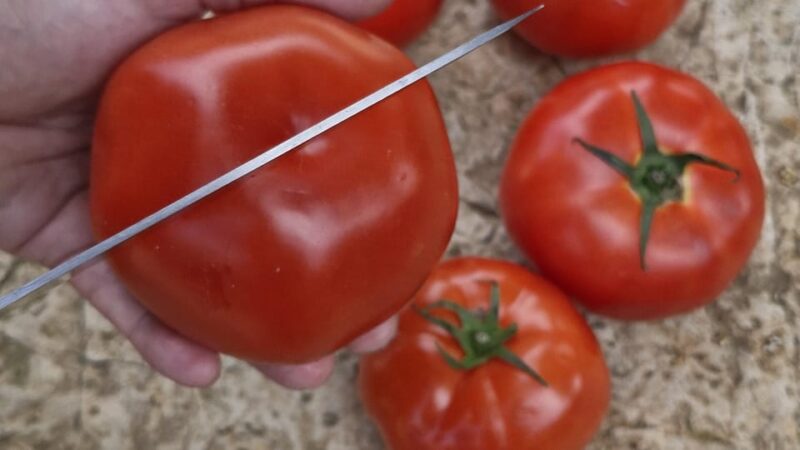 Dinner or Cooking Class in a UNESCO-Protected Family Field - Location and Meeting Details