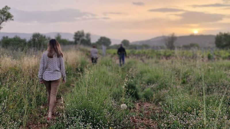 Dinner or Cooking Class in a UNESCO-Protected Family Field - Important Information