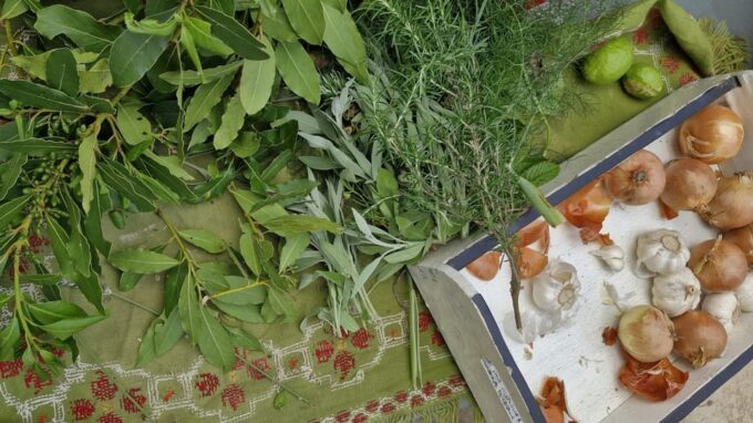 Dinner or Cooking Class in a UNESCO-Protected Family Field - Frequently Asked Questions