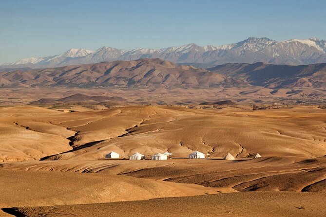 Dinner Show in Agafay Desert With Quad Bike & Camels - Camel Ride Experience