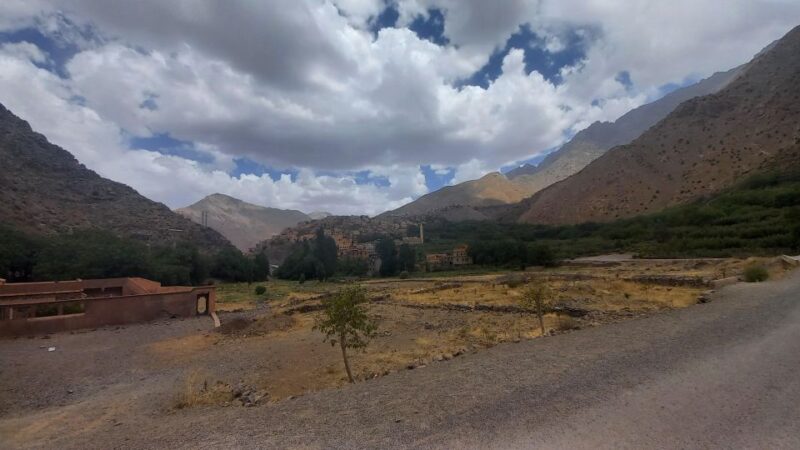 Dinner Under the Sky With Spectacl&Camel Ride Agafay Desert - Pricing and Reservation