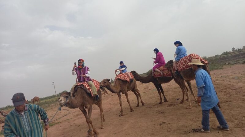 Dinner Under the Sky With Spectacl&Camel Ride Agafay Desert - Itinerary and Activities