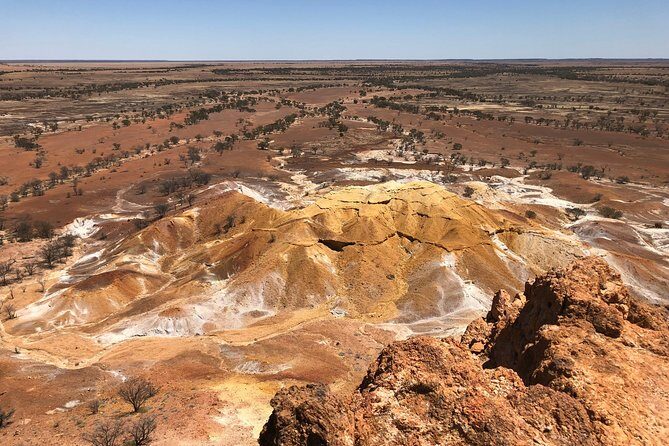 Dinosaur Stampede 3/4 Day Tour from Winton - Key Points